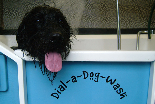Dog Grooming Logo